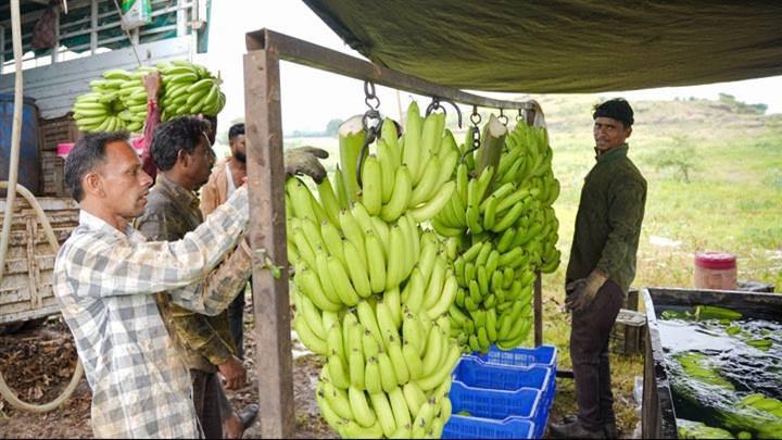 वैश्विक कृषि-निर्यात बाजार में मध्य प्रदेश का उदय